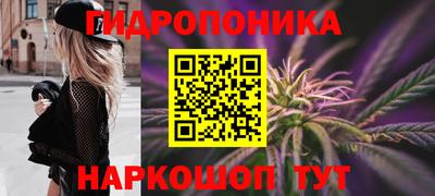 PSILOCYBIN Ставрополь